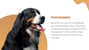 65811-free-pet-powerpoint-templates-10