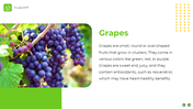 65868-fruits-templates-free-download-06