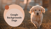 65871-google-backgrounds-dogs-01