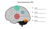 Slide illustrating the brain with highlighted areas indicating different metabolic functions accompanied by placeholder text.