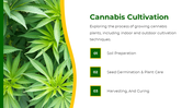 700183-free-cannabis-ppt-template-03