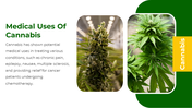 700183-free-cannabis-ppt-template-04