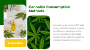 700183-free-cannabis-ppt-template-06