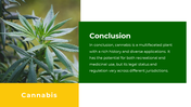 700183-free-cannabis-ppt-template-10