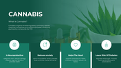 Green-themed slide with cannabis leaves in the background, with four white icons and text highlighting benefits.