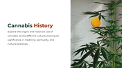 700186-cannabis-powerpoint-template-free-02