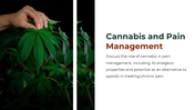 700186-cannabis-powerpoint-template-free-08