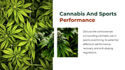 700186-cannabis-powerpoint-template-free-14