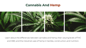 700186-cannabis-powerpoint-template-free-16