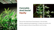 700186-cannabis-powerpoint-template-free-17