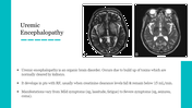 Two black and white brain scan images with text on uremic encephalopathy, on white background with teal accents.