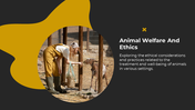 700873-animal-slides-03