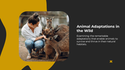 700873-animal-slides-04