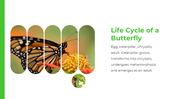 701122-butterfly-google-slides-theme-02