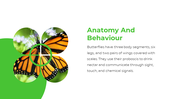 701122-butterfly-google-slides-theme-03