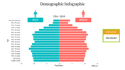 Demographic Infographic PPT Template Design