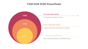 701712-tam-sam-som-slide-01