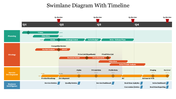 Project swimlane diagram with tasks for planning, strategy, service development, and business intelligence over Q1 to Q4.