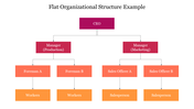 Simple flat organizational structure slide showing the CEO, managers, and direct reports in a hierarchical chart.