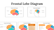 701921-frontal-lobe-diagram-01