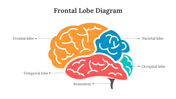 701921-frontal-lobe-diagram-02