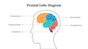 701921-frontal-lobe-diagram-03