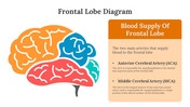 701921-frontal-lobe-diagram-05