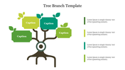 Tree branch template with leaves for captions and additional text areas on the right side of the slide, in green tones.