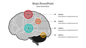 702174-brain-presentation-09