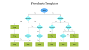 Colorful flowchart slide with multiple decision points leading to different steps, starting from a central start point.