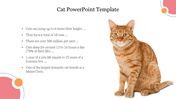 A side featuring an orange tabby cat sitting beside interesting facts in a clean design on a white background.