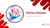 Kidney Disease PPT Presentation And Google Slides Themes