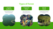 703579-forest-google-slides-template-06