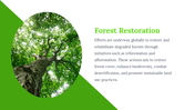 703579-forest-google-slides-template-07