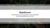 Attractive Rainforest PPT Template Presentation Slide