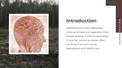 703588-deforestation-powerpoint-templates-free-download-02