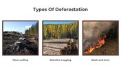 703588-deforestation-powerpoint-templates-free-download-04