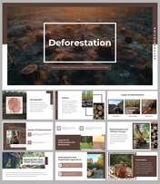 Slide pack showing images of deforestation and sections on history, causes, and impacts in brown and white themes.