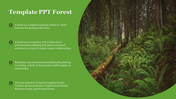 Forest themed slide with lush greenery and trees on the right, featuring key points about forest ecosystems on the left.