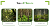 703593-slide-forest-free-template-03