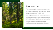 703602-forest-google-slides-theme-02