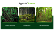 703602-forest-google-slides-theme-03