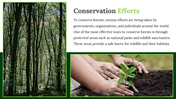 703602-forest-google-slides-theme-06