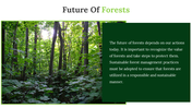 703602-forest-google-slides-theme-08