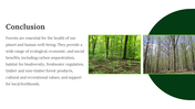 703602-forest-google-slides-theme-09