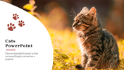 Creative Cats PowerPoint Presentation Template