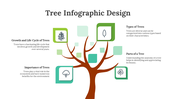 703777-tree-infographic-design-02