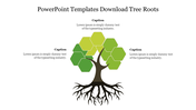 A slide showing a tree graphic with hexagonal leaves and visible roots, with space for three captions around the tree.