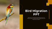 703870-bird-migration-ppt-presentation-01