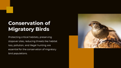 703870-bird-migration-ppt-presentation-14